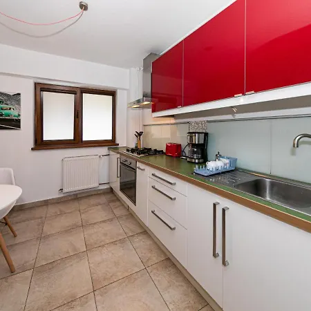 One Bedroom Near Floreasca Park Apartment *